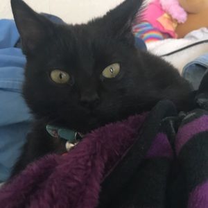 Meet your Posher, Jasmine